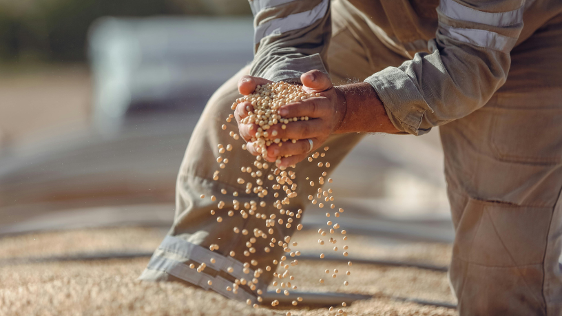 Inovação e responsabilidade ambiental guiando o agronegócio do amanhã — visão de Alfredo Moreira Filho sobre o futuro sustentável do campo.