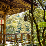 Na visão de Alberto Toshio Murakami, a cultura oriental revela valores e costumes que moldam a vida a partir de uma profunda visão de mundo.