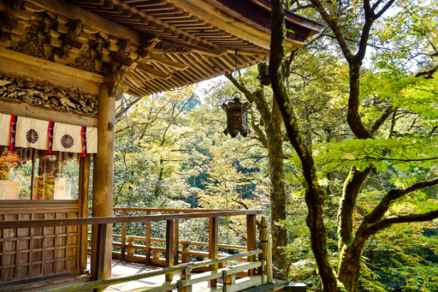 Na visão de Alberto Toshio Murakami, a cultura oriental revela valores e costumes que moldam a vida a partir de uma profunda visão de mundo.